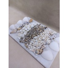 Nasa Shel + Clam Rose+ +Deniz Kabuklu Set  - Dekor, Hobi, Teraryum, Akvaryum Set 6