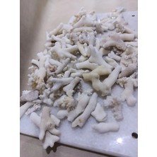 Mercan Kırığı 100 gr Doğal  | Dekor, Hobi, Teraryum, Akvaryum