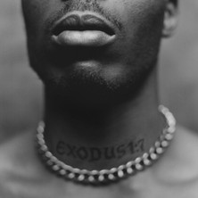 Dmx - Exodus – Plak