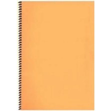 Mynote Spiralli Telli Pp Kapak Okul Defteri A4 40 Yaprak Kareli Defter / 1 Adet