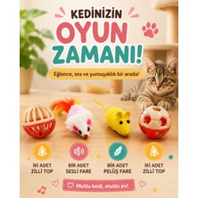 Medusa 2 Adet Zilli Top, 1 Adet Peluş,1 Adet Sesli Fare Kedi Oyuncağı Seti