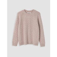 LC Waikiki Lcw Everyday Lila Bisiklet Yaka Desenli Kadın Triko Kazak