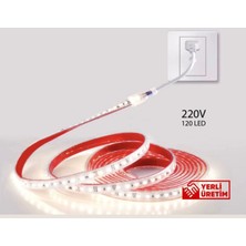 BRK LIGHTING LED Dış Mekan IP65 120 Ledli Şerit Hortum LED 220 V Tak Çalıştır (5 Metre)