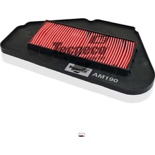Tecneco Sym Fıddle 3 200/125 Hava Filtresi TEC-AM190