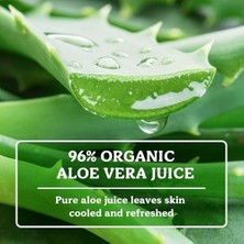 Gndz Store Badger Aloe Jel 118 ml