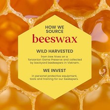 Gndz Store 2li Lip Balm Set (Beeswax + Vanilya)