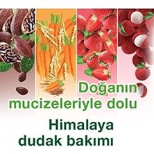 Gndz Store Güneş Koruyucu Spf 30 Dudak Kremi, Lip Balm, Nemlendirici, BESLEYICI,%100 Doğal Renk, Silikon Içermez, 4,5 gr
