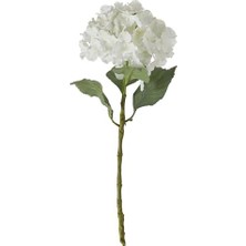 Gndz Store Ortanca Çiçek Beyaz 54CM