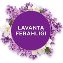 Gndz Store Glade Banyo Hava Tazeleyici Cihaz ve Yedek Lavanta Ferahlığı 10 ml
