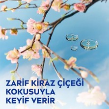 Gndz Store Değerli Yağlar Içeren Vücut Losyonu Kiraz Çiçeği & Jojoba Yağı, 400 Ml, Normal ve Kuru Ciltler Için, 48 Saat Nemlendirme, Hızlı Emilen Losyon (3 Paketi)