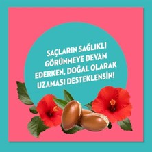 Gndz Store Doğanın Enerjisi Saç Bakım Şampuanı Argan Yağı & Hibiskus Özü Dökülme Karşıtı & Güçlü Uzamayı Destekleyici 400 ml