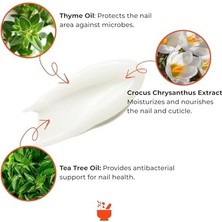 Gndz Store Cosmed Tırnak Dokusunu ve Kütikül Yapısını Destekleyen Bakım Balmı - Nail & Cuticle Balsam - 15 ml