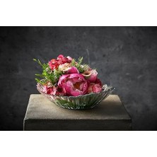Gndz Store Aurora Kase2 (>17CM) 84 cc T Tekli Hediyelik Kutu