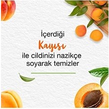 Gndz Store Since 1930 Peeling Etkili Hassas Yüz Temizleme Jeli, Kayısı, Aloe, Parabensiz, Tüm Ciltler, 150 ml