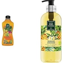 Gndz Store Doğal Zeytinyağlı Sıvı Sabun, Bodrum Mandalinası, 1,5 L Pet Şişe (1 x 1500 Ml) Xeyüp Sabri Tuncer Doğal Zeytinyağlı Sıvı Sabun Hawaıı Ananas (500 Ml)