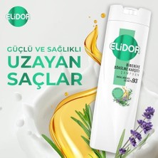 Gndz Store Şampuan Biberiye Dökülme Karşıtı 400 ml