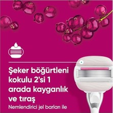 Gndz Store Venus Pro Comfortglide Sugarberry Kokulu Kadın Tıraş Bıçağı, 3 Yedek Tıraş Bıçağı