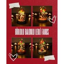 Biblolu Balonlu Ledli Fanus