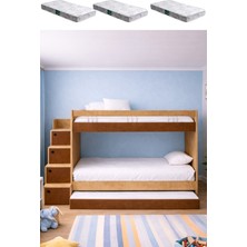 Setay Ranza, Martin Yavrulu Ranza - Ceviz - 3 Adet Comfort Yatak