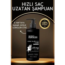 Perfecxx At Kuyruğu Saç Uzatma Etkili Şampuan 500 ml