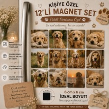12'li Kare Fotoğraf Magneti Evcil Hayvana Kişiselleştirilebilir Patili Dost Hediye Seti