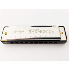 Cremonia Cremonıa HM0310 10 Delik Mızıka Profesyonel Harmonica Ürün Türkiye Menşeli
