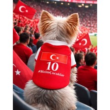 Petili Dünya Milli Takım Forma Kedi Kıyafeti Köpek Kıyafeti Taraftar Forması