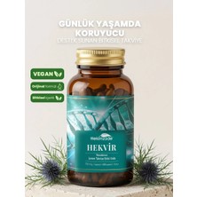Hekimzade Hekvir 90 Kapsül 750 mg – Bağışıklığı Destekleyen Çörek Otu Yağı İçeren Takviye Edici Gıda