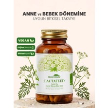 Hekimzade LACTAFEED – Anne Sütü Desteği İçin Çin Melek Otu İçeren Takviye Edici Gıda 90 Kapsül 750mg