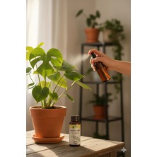 Plant Home Power Mix %100 Saf Neem Yağı 20 ml Tesbih Ağacı Yağı ile Cilt ve Saç Bakımı