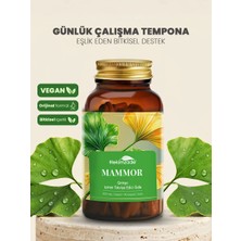 Hekimzade MAMMOR 90 Kapsül 500 mg – Ginkgo İçeren Hafıza ve Konsantrasyon Destek Formülü