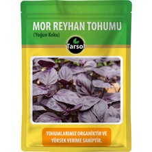 Tarsol 30'lu Mor Reyhan Tohumu Yüksek Verim ve Yoğun Koku ile Doğal Tohum Seçeneği