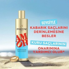 YF Tekstil Ambalaj Pantene Amor Edition Pro-V Pürüzsüz ve Parlak Şampuan 250 Mililitre
