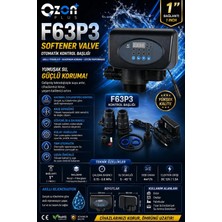 Runxın F63P3 Volumetrik Yumuşatma Valfı