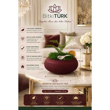 BitkiTÜRK Dekoratif Beton Saksı – Masaüstü Ev Ofis Kafe Dekoru, Stabilize Yosun ve Yapay Bitki Hediyeli Premium Saksı