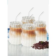 Work Pasaj 4 Pipet 4 Sukabağı Soğuk Kahve Bardağı, Meşrubat Bardağı 500 ml