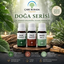 Çare Burada Arjens Rain Forest & Palo Santo & White Sage Esans 10 ml | Doğa Serisi