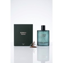 BRAVASİP Burning Cedar Erkek Parfüm 100 ml Kalıcı Odunsu Koku
