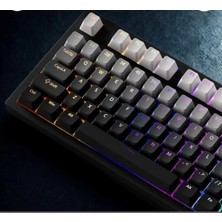 Leaven Gradient Mekanik Klavye Oem Profil Rgb Tuş Takımı Pbt