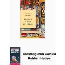Alfa Yayınları Islamın Mistik Boyutları + Bir Yüreğin Çöküşü