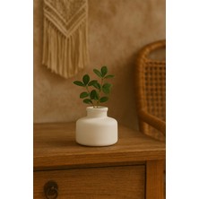 Otaera Yuvarlak Dekoratif Vazo | Minimal Tasarım, Iskandinav Tarz, Masa ve Sehpa Üzeri Çiçeklik Için, Pinterest Vazo