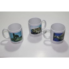 Zenvia Znv Yöresel Kupa Bardak 9ALY477 ZNV2029