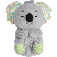 Fisher-Price Fisher Price Uyku Arkadaşı Koala