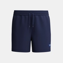 Speedo Classic Logo Volley 13 Inch Çocuk Deniz Şortu