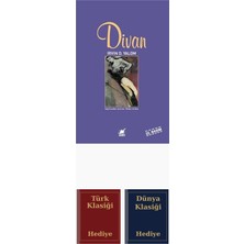 Ayrıntı Yayınları Divan + Türk ve Dünya Klasiği