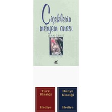 Ayrıntı Yayınları Çiçeklerin Meryem Anası + Türk ve Dünya Klasiği