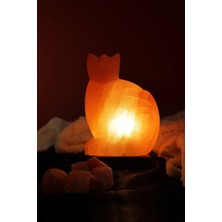 Tuzcu Kenan Himalaya Kedi Model Tuz Lambası Ahşap Kaideli Dekoratif Ortam Lambası