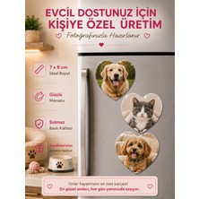 Liya Gift Collection 3 Kalpli Patili Dost Fotoğraf Magneti Kişiselleştirilebilir Evcil Hayvan Anı Hediyesi
