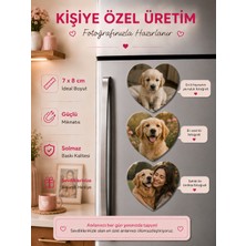 Liya Gift Collection 3 Kalpli Patili Dost Magneti Kişiselleştirilebilir Evcil Hayvan Fotoğraf Anı Hediyesi