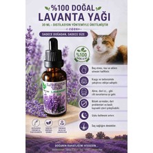 %100 Doğal Distülasyon Bitkisel Lavanta Yağı 30 ml